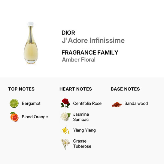 Dior Christian Dior Ladies J'Adore Infinissime EDP Spray 5 oz
