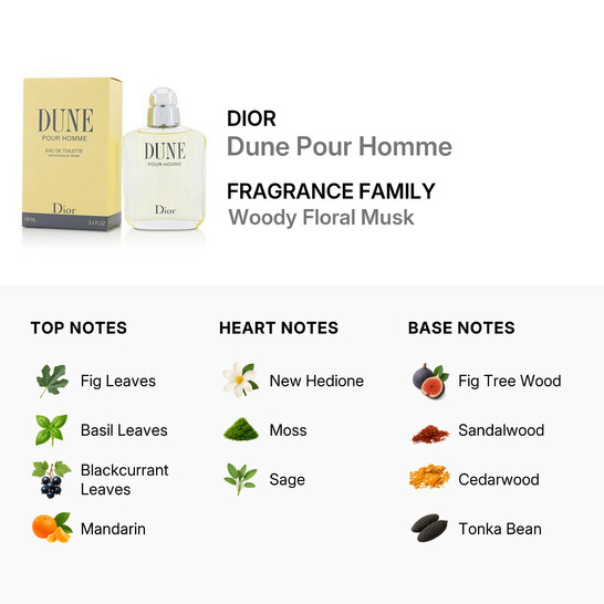 Dior Christian Dior Men's Dune Pour Homme EDT Spray 3.3 oz