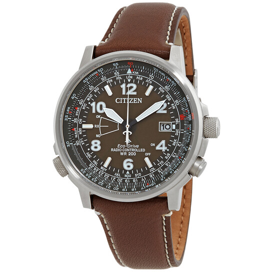 Citizen Eco-Drive Promaster Sky Perpetual World Time Brown Dial