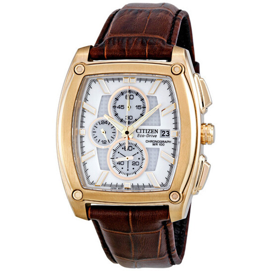 Citizen Gold-tone Chronograph WR100 Men's Watch CA0093-01A