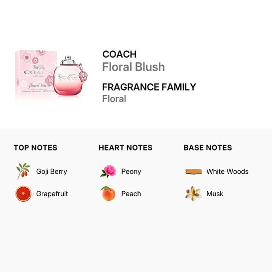 Coach Ladies Floral Blush EDP Spray 3 oz (90 ml) 3386460108119