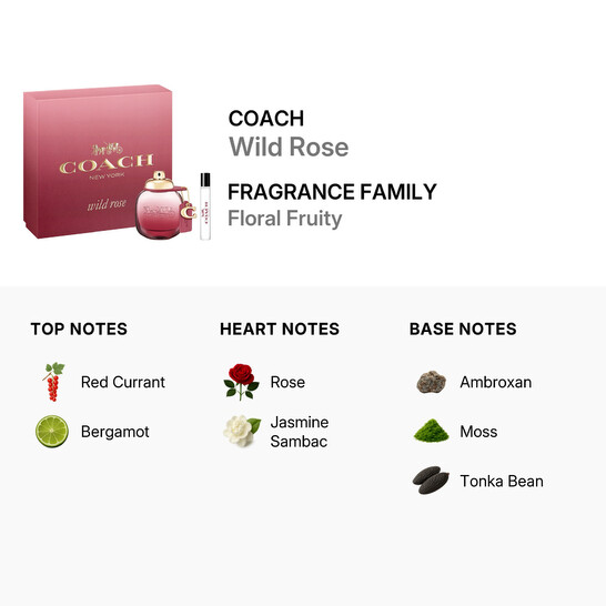 Coach Ladies Wild Rose Gift Set Fragrances 3386460138802