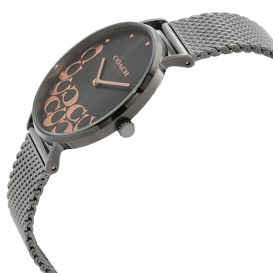 Coach Perry Quartz Grey Dial Ladies Watch 14503825 