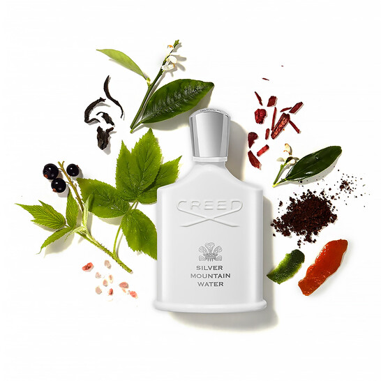 Creed Unisex Creed Silver Mountain Water EDP Spray 3.3 oz Fragrances 3508441001053 Creed Unisex Creed Silver Mountain Water EDP Spray 3.3 oz Fragrances 3508441001053 - 546x546 Image #3