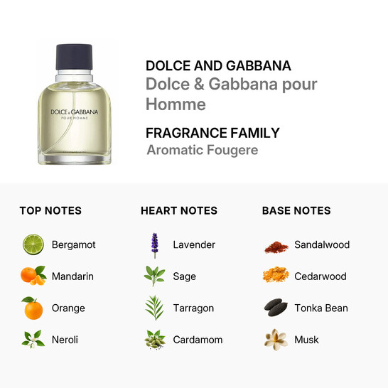 Dolce & Gabbana Men's Dolce & Gabbana pour Homme EDT Fragrances