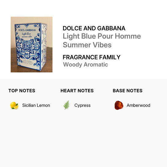 Dolce & Gabbana Men's Light Blue Pour Homme Summer Vibes EDT Spray