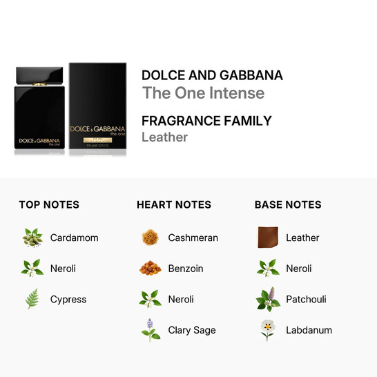 Dolce & Gabbana Dolce & Gabbana Men's The One Intense EDP Spray