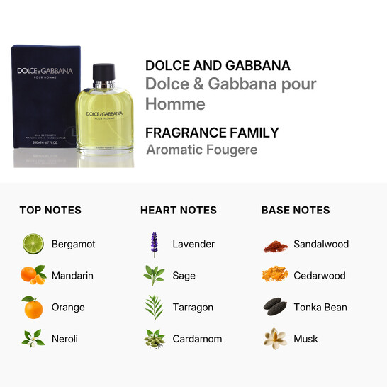 Dolce & Gabbana Dolce & Gabbana/Dolce & Gabbana Edt Spray 6.7 Oz