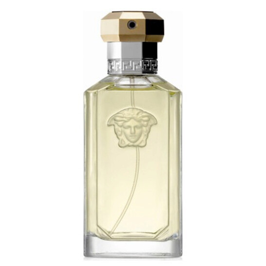 その他 VERSACE Eau de Toilette 100ml Versace Pour Homme For Men Eau De Toilette 100ML - 8011003995967