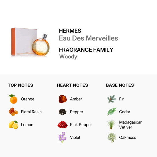 Hermes Eau Des Merveilles / Hermes EDT Spray 3.3 oz (w) (100 ml