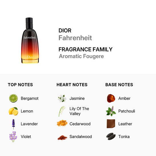 Dior Fahrenheit / Christian Dior After Shave 3.3 oz (m