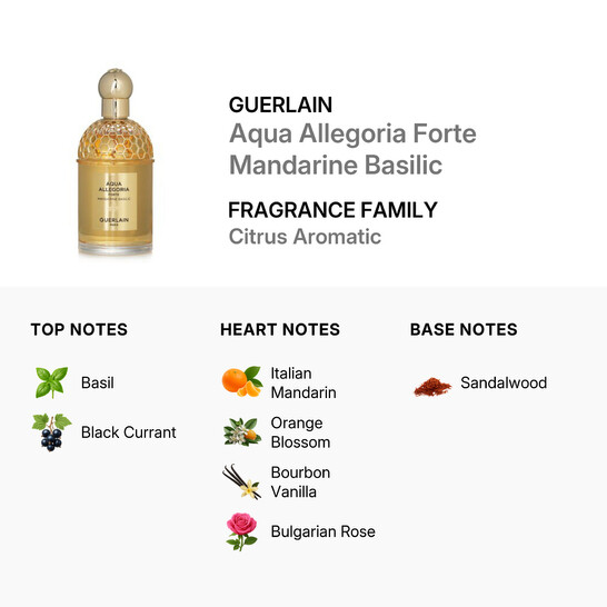 Guerlain Ladies Aqua Allegoria Forte Mandarine Basilic EDP Spray