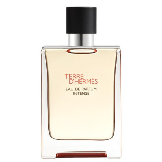 Hermes Men's Terre D'Hermes Intense EDP Spray 3.4 oz