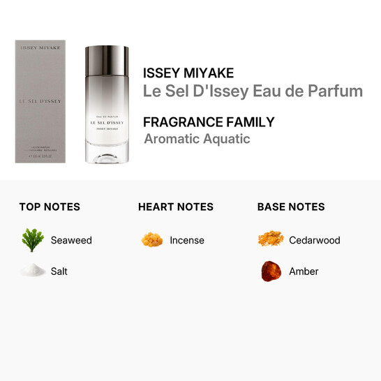 Issey Miyake Men's Le Sel D'issey EDP Spray 3.4 oz Fragrances