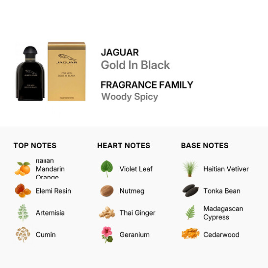 Jaguar Men's Gold In Black EDT Spray 3.4 oz Fragrances