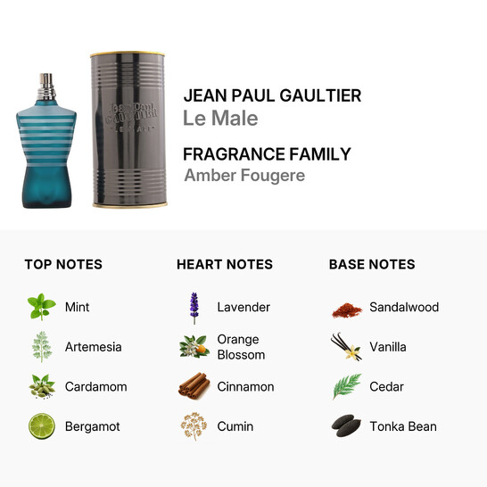 Jean Paul Gaultier Le Male / J.p.g EDT Spray 4.2 oz (m