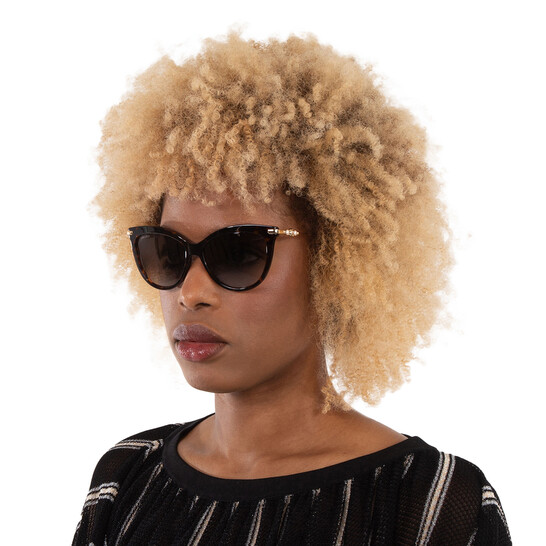 Jimmy Choo Brown Gradient Cat Eye Ladies Sunglasses TINSLEY  display picture 3