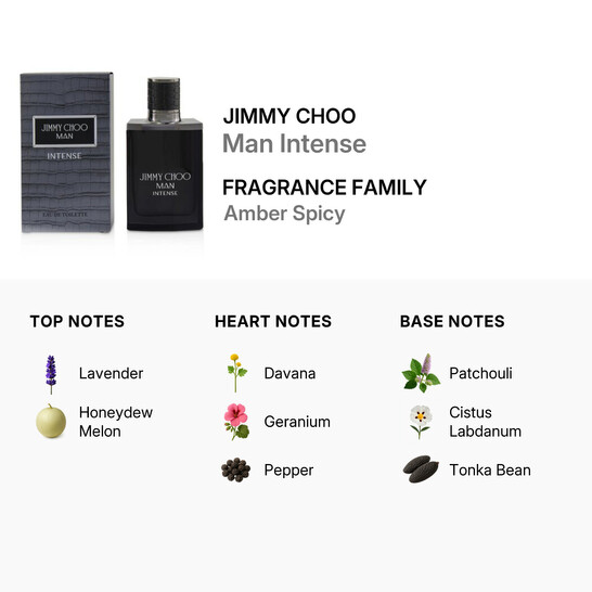Jimmy Choo Man Intense by Jimmy Choo EDT Spray 1.7 oz (50 ml) (m