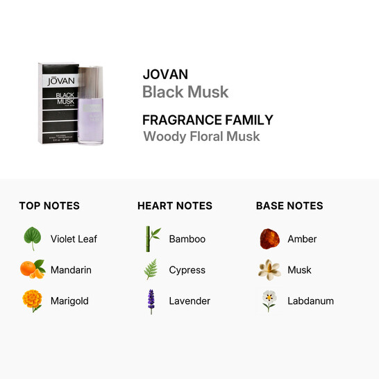 Jovan Black Musk by Jovan Cologne Spray 3.0 oz - 546x546 Image #3