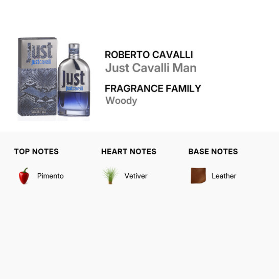 Roberto Cavalli Just Cavalli Man / Roberto Cavalli EDT Spray 3.0