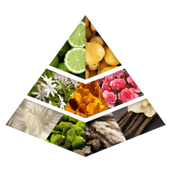 エッセンシャルオイル haro Amazon.com: Hengst E1001H D28 Oil Filter : Automotive