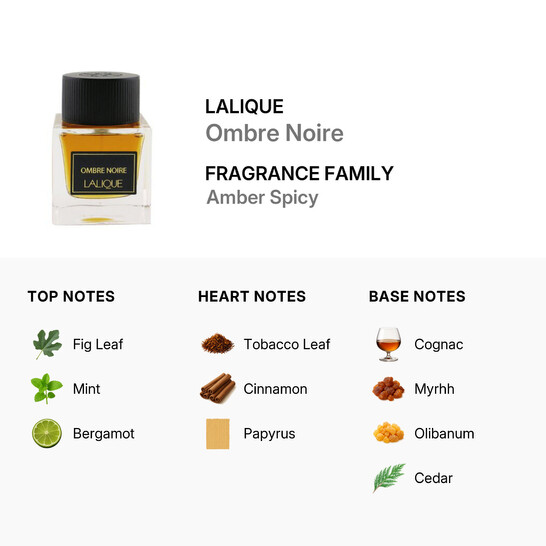 Lalique Men's Ombre Noire EDP Spray 3.3 oz Fragrances