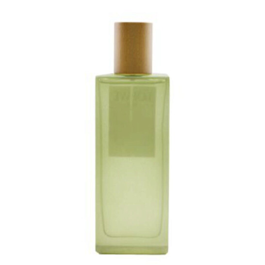 Loewe Ladies Aire EDT Spray 1.7 oz Fragrances 8426017070225