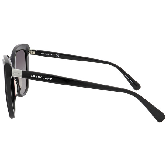 Longchamp Grey Gradient Cat Eye Ladies Sunglasses LO669S 001  display picture 2