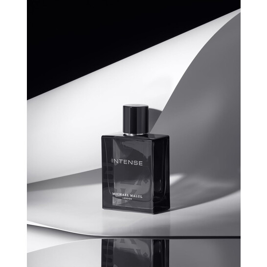 Michael Malul Men's Jet Black Intense EDP Spray 3.4 oz Fragrances