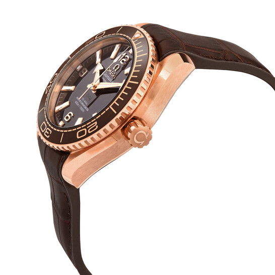 Omega Seamaster Automatic 18kt Sedna Gold Men's Watch 215.63.40.20