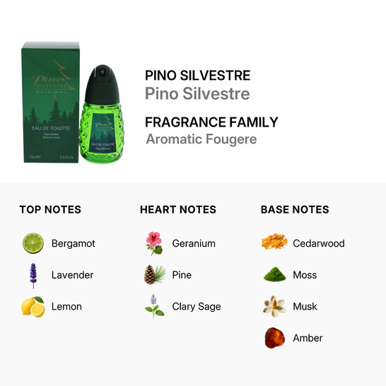 Pino Silvestre / Pino Silvestre EDT / Cologne Spray 2.5 oz (m) - 546x546 Image #3