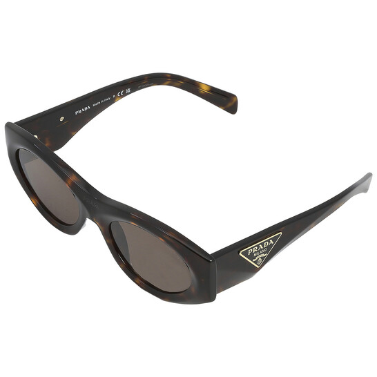 Prada Dark Brown Oval Ladies Sunglasses PR 20ZS 2AU06B 53. Prada PR 20ZS 2AU06B Tortoise Plastic Oval Sunglasses Brown  main image 4