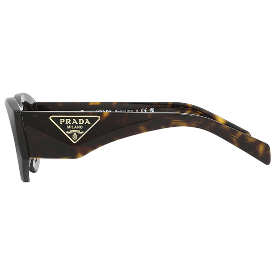 Prada Dark Brown Oval Ladies Sunglasses PR 20ZS 2AU06B 53  display picture 1