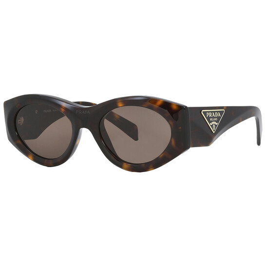 Prada Dark Brown Oval Ladies Sunglasses PR 20ZS 2AU06B 53  display picture 2