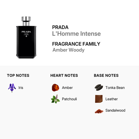 Prada Men's Prada L'Homme Intense EDP Spray 3.4 oz (100 ml