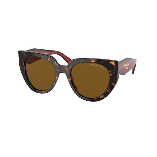Prada Polarized Brown Cat Eye Ladies Sunglasses PR 14WS