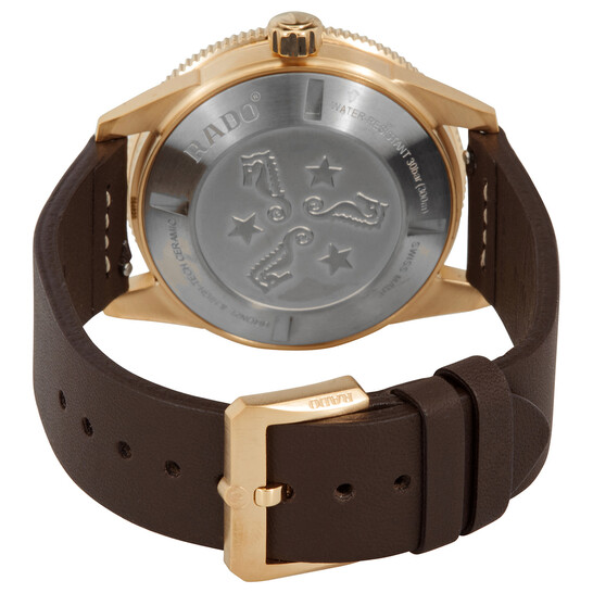 Rado Captain Cook Automatic Brown Dial Men's Watch R32504306