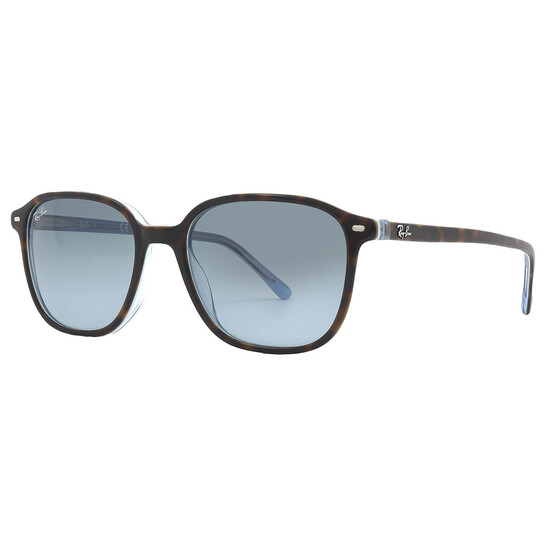 レイバンRB2193 Ray-Ban RB2193 Leonard M (53 - 18) with Brown lenses and