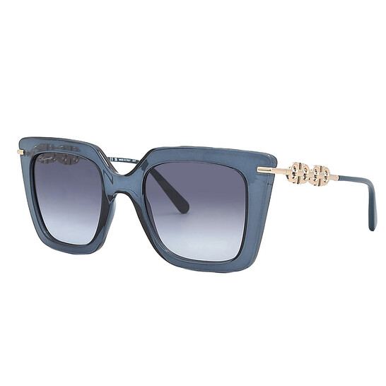 Ferragamo Salvatore Ferragamo Blue Gradient Butterfly Ladies  display picture 2