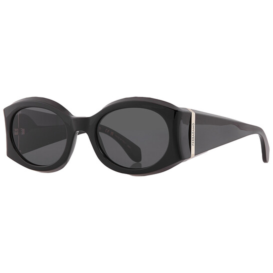 Ferragamo Salvatore Ferragamo Dark Grey Oval Ladies Sunglasses