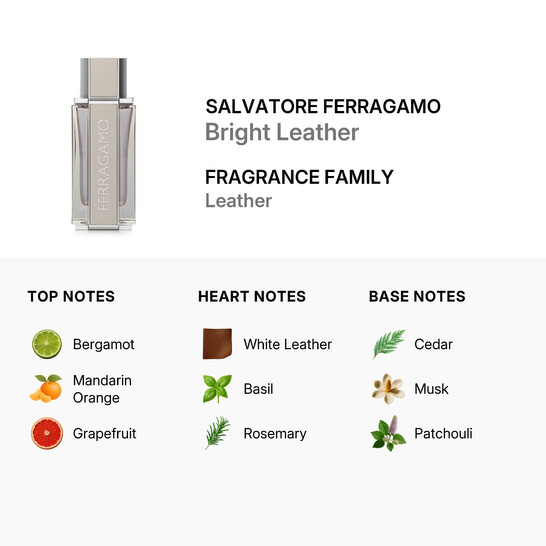 Salvatore Ferragamo Men display picture 1