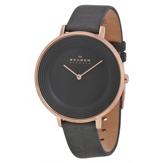 Skagen Ditte Grey Dial Grey Leather Ladies Watch SKW2216  display picture 3