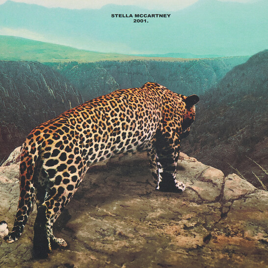 Stella McCartney Ladies All-Over Photographic Print Leopard T