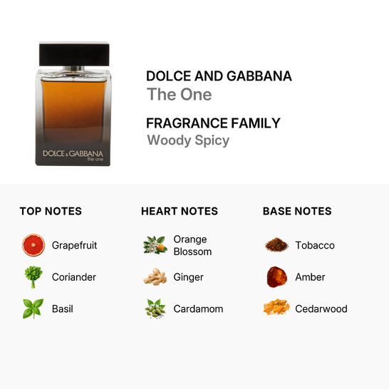 Dolce & Gabbana The One Men by Dolce & Gabbana EDP Spray 3.4 oz