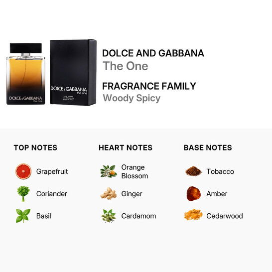 Dolce & Gabbana The One Men / Dolce & Gabbana EDP Spray 5.0 oz