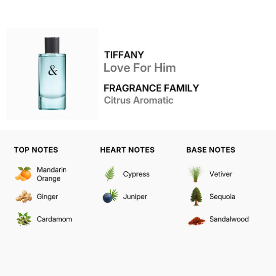 Tiffany & Co. Men's Love For Him EDT Spray 3.0 oz (Tester