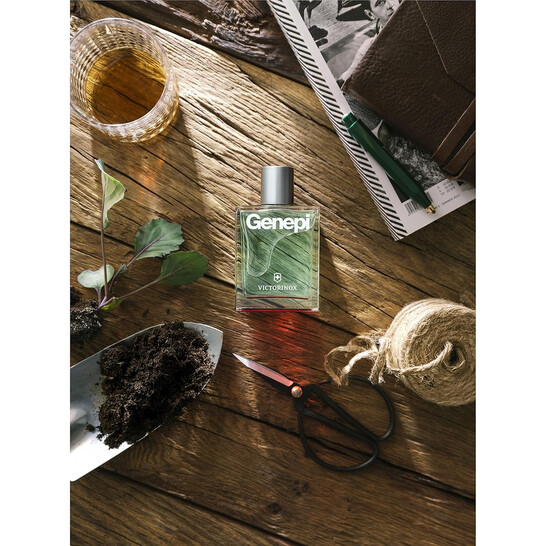 SPY PERFUME スコッチ SPYxFAMILYxfragrances – Aishify