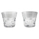 Baccarat Beluga Tumbler No. 2 - 2 Box Set - 70x70