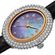 Burgi Crystal Black Dial Black Leather Ladies Watch BUR234BK - 70x70