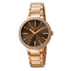 Ferre Milano Brown Dial Ladies Watch FM1L084M0091 - 70x70